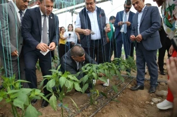 Üreticilerin korkulu rüyasına karşı biyolojik mücadele başladı
