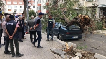 Üzerine ağaç devrilen otomobil hurdaya döndü: O anlar kamerada
