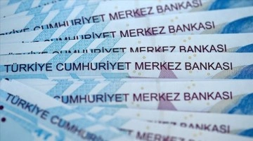 Uzmanlar Merkez Bankasının faiz kararını değerlendirdi