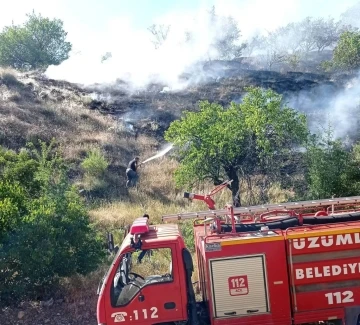 Üzümlü’de örtü yangını
