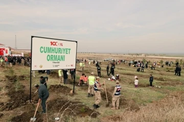 Vali Çakır: “Cumhuriyetimizin 100. yılına nefes olmak için fidan diktik”
