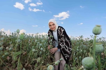 Vali kentin simgesi ‘haşhaş’ ile poz verdi
