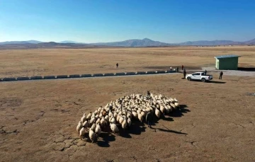 Van Büyükşehir Belediyesinden kırsal kalkınma atağı
