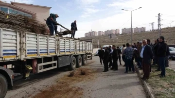 Van’da 31 bin adet meyve fidanı dağıtıldı
