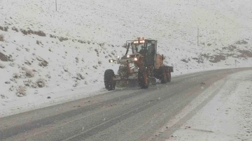 Van’da kar yağışı 2 bin 730 rakımlı Güzeldere Geçidi’nde trafiği olumsuz etkiliyor
