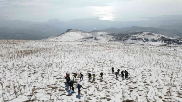 Vangölü Aktiviteleri Derneği üyeleri Esrük Dağı’na tırmandı
