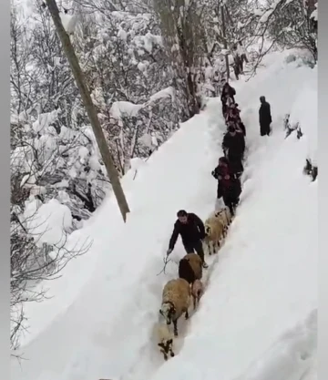 Vatandaşlar sürü ile birlikte kuzuları kucaklarında taşıdılar
