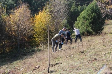 Yaban hayvanları için 175 fidan dikildi
