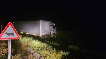 Yağışlı hava kazayı beraberinde getirdi: 1 ölü, 1 yaralı
