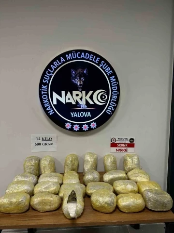 Yalova’da 14 kilo 600 gram skunk ele geçirildi
