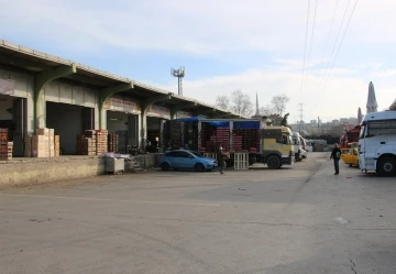 Yalova’da 9 ayda 25 bin ton meyve-sebze tüketimi yapıldı
