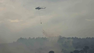 Yalova’daki orman yangını kontrol altına alındı