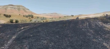 Yangın badem ve fıstık ağaçlarına zarar verdi
