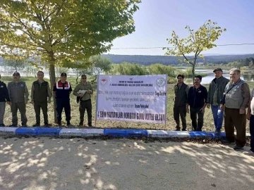 Yaralı bulunan leylek tedavisinin ardından doğaya salındı
