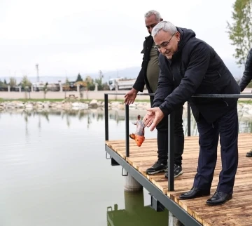 Yedigöller’e Koi balığı bırakıldı
