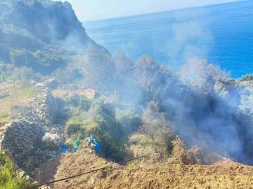 Yerleşim yerlerine yakın noktada çıkan yangın büyümeden söndürüldü
