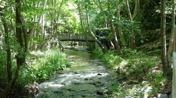 Bursa'da yılda 40 bin kişi bu kanyonu görmek için yollara düşüyor