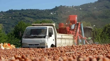 Yılda sadece 1,5 ay çalışıyorlar, saatte 3 bin 500 TL kazanıyorlar
