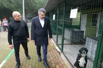 Yıldırım’da can dostlara şefkat eli
