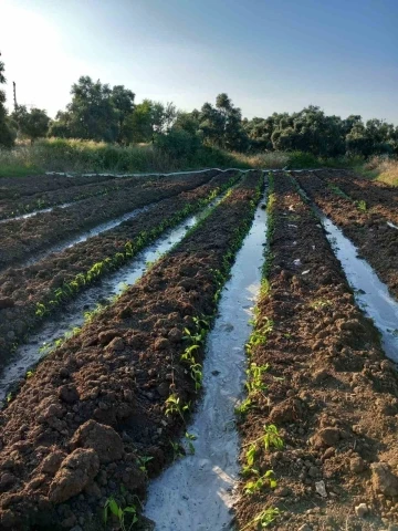 YK Enerji, bin dönümlük tarım arazisinin sulama sorununu çözdü
