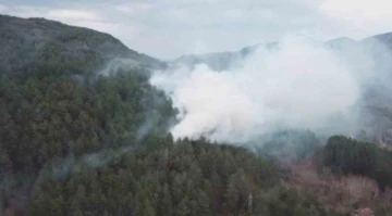 Yol kenarına atılan sigara izmariti ormanlık alanda yangın çıkardı
