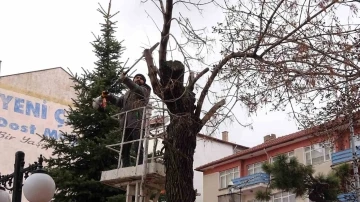 Yozgat Belediyesi ağaçlara bahar bakımı yapıyor
