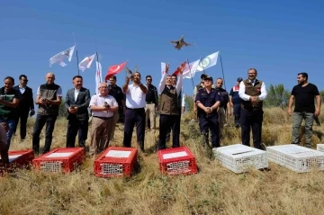 Yozgat’ta 800 kınalı keklik doğaya salındı
