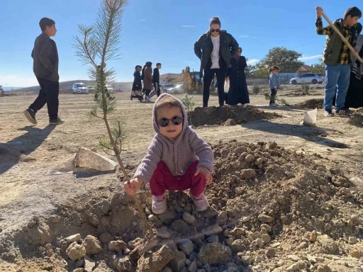 Yozgat’ta bozkır ağaçlandırıldı
