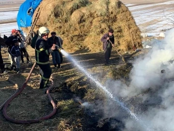 Çıkan yangında 4 bin bağ ot yandı