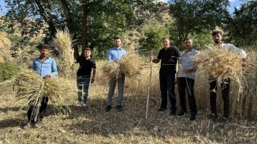 Yüksekova’da buğdayda yüksek verim
