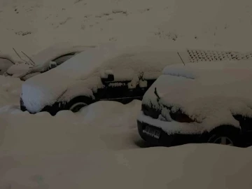 Yüksekova’da kar kalınlığı 20 santimetreyi buldu: Araçlar kara gömüldü
