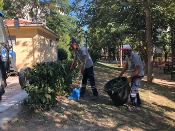 Yunusemre Belediyesinden Yenimahalle’de park bakımı
