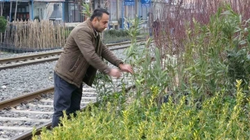 Ziraat Mühendisi Tekeş: &quot;Fidan ve meyve ağaçları dikimi için en uygun dönemdeyiz&quot;
