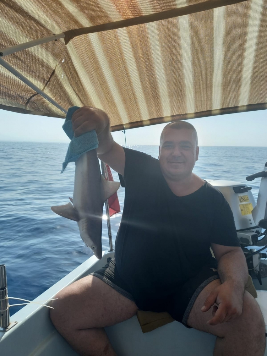 Balıkçı ağına takılan yavru köpek balığı - Bursa.com